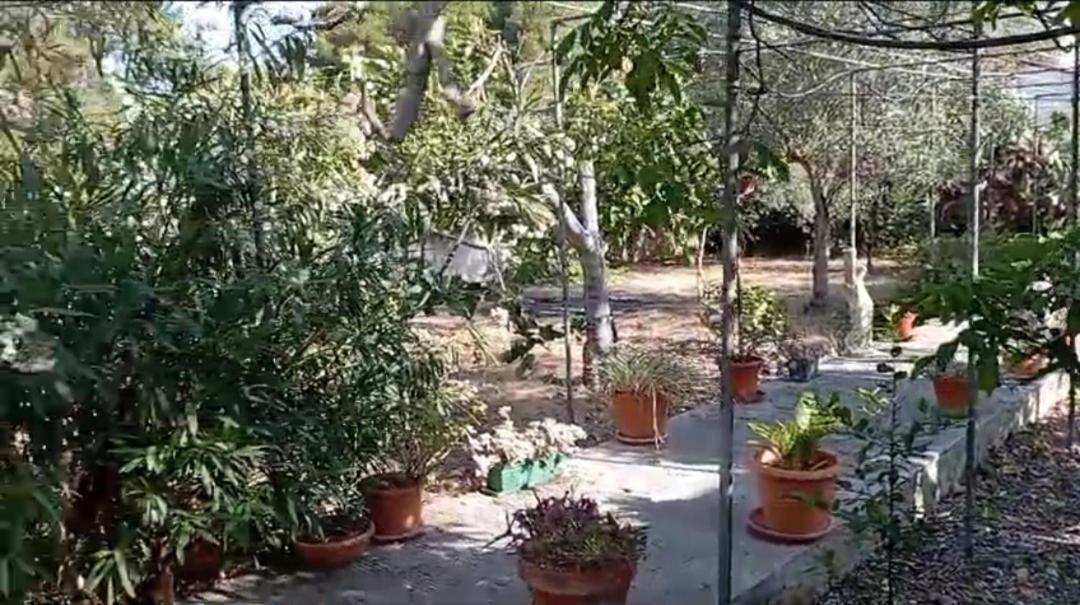 Casa Vacanze Il Carrubo Leporano Exterior photo